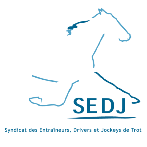 SEDJ Logo