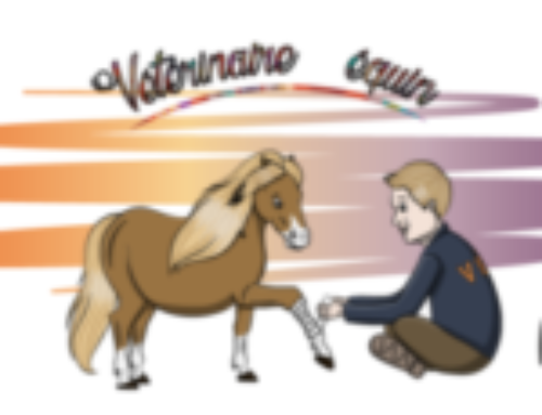 Podcast : Traitement par infiltration intra-articulaire