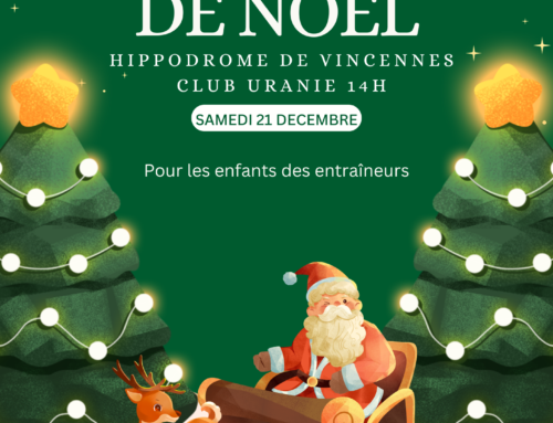ARBRE DE NOEL
